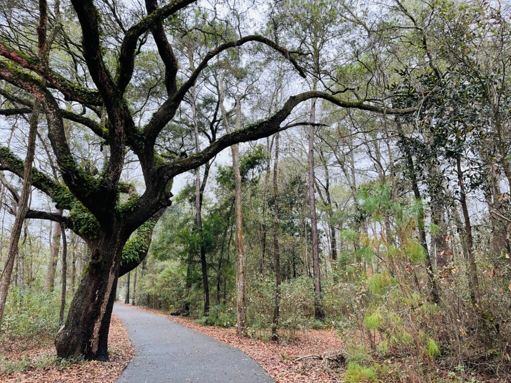 Whitemarsh Island, Georgia nature preserve path