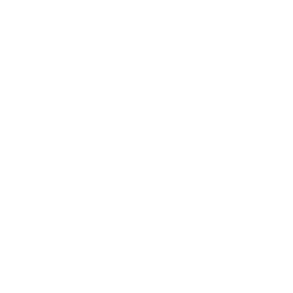 03.